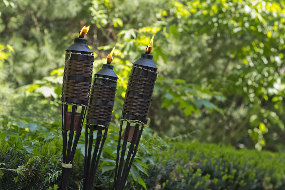 mosquitoes torches citronella