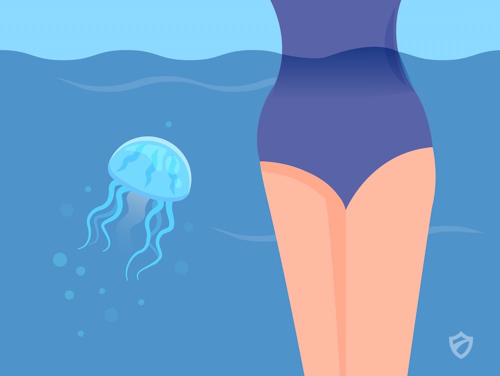 For Swimmers The Complete Guide To Jellyfish Jellyfish Repellent Guide