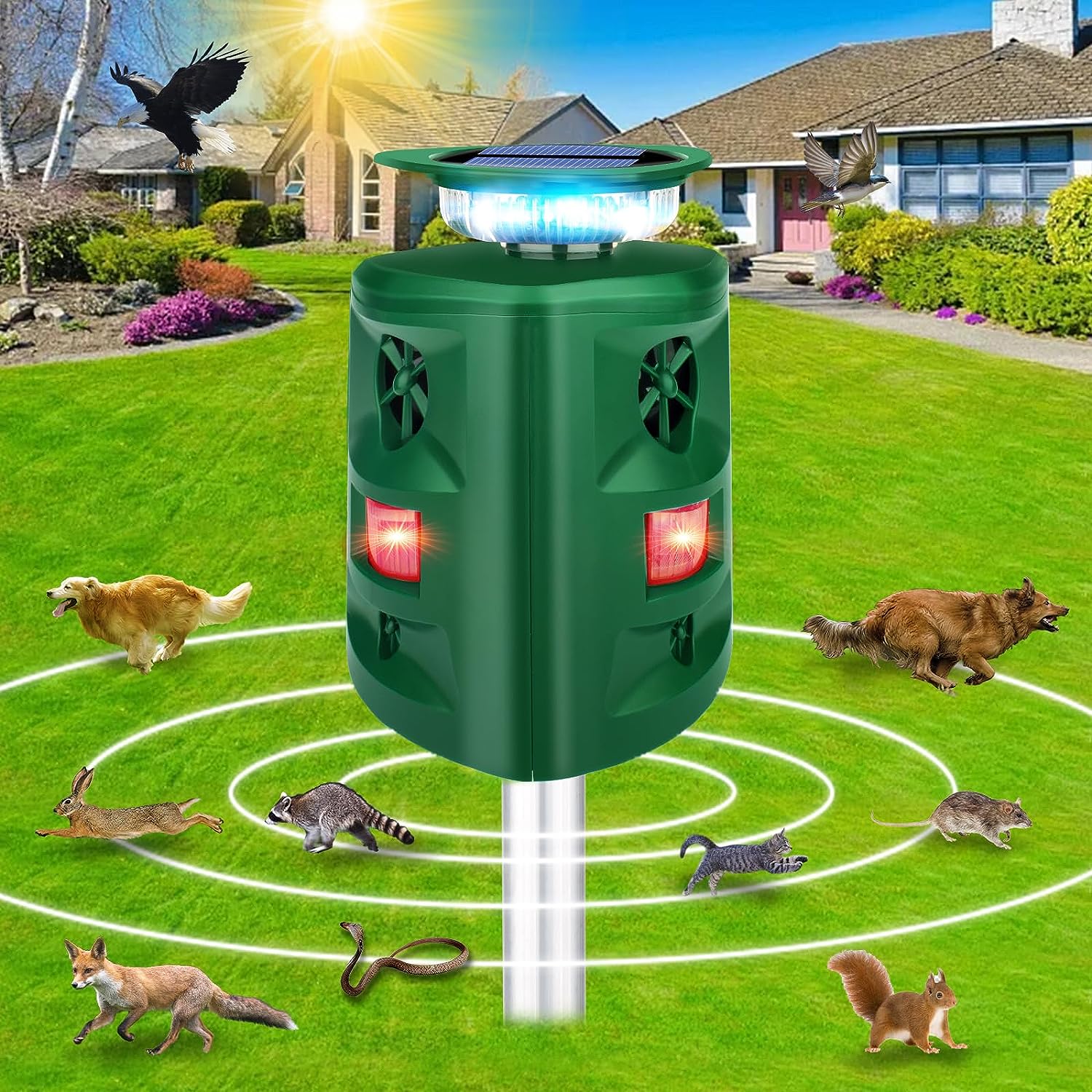 Defendy Solar Ultrasonic Cat Repeller Repellent Guide